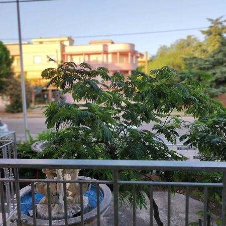 B&B Mazzini Grottaglie Εξωτερικό φωτογραφία
